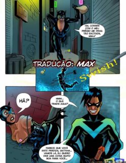 Nightwing and Cat woman – HQ Comics